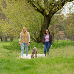 two women walking their grey weimaraner dog in a lush park