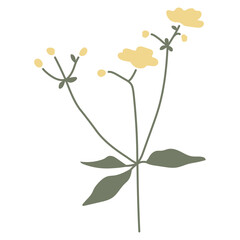 Vector color hand-drawn illustration with spring yellow flower. SVG cut file for Cricut. Collection of minimalist wildflowers. 