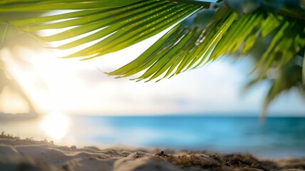 Palm leaf on sand near beach with sun reflection on water
