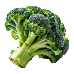 broccoli isolated on white background soft smooth lighting only png