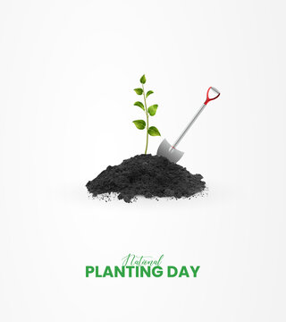 National Planting day, Farmers Day, green tree, soil, Creative Concept design for banner and poster. 3D illustration.