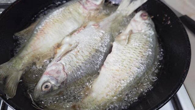 whole vobla fish frying in a cast iron skillet with oil at domestic kitchen.