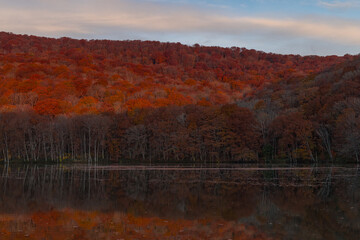 日本　青森県十和田市奥瀬蔦野湯にある蔦沼の水鏡に映る朝焼けで赤く染まる紅葉