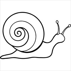 Fun and Playful Snail Coloring Pages for kids