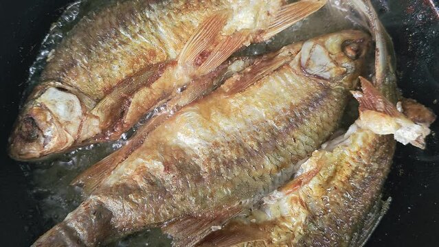 whole vobla fish frying in a cast iron skillet with oil at domestic kitchen.