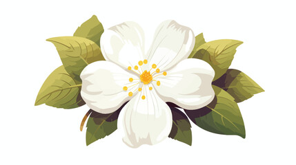White flower vector illustration
