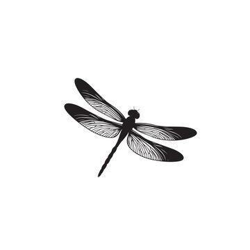 Vector collection of Dragonfly Silhouette isolated on white background.