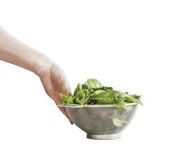 Isolated of woman hand holding metal sieve filled with raw green spinach leaves 