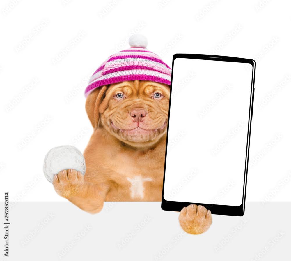 Fototapete smiling mastiff puppy wearing warm hat with pompon holds snowball and holds smartphone with white bl