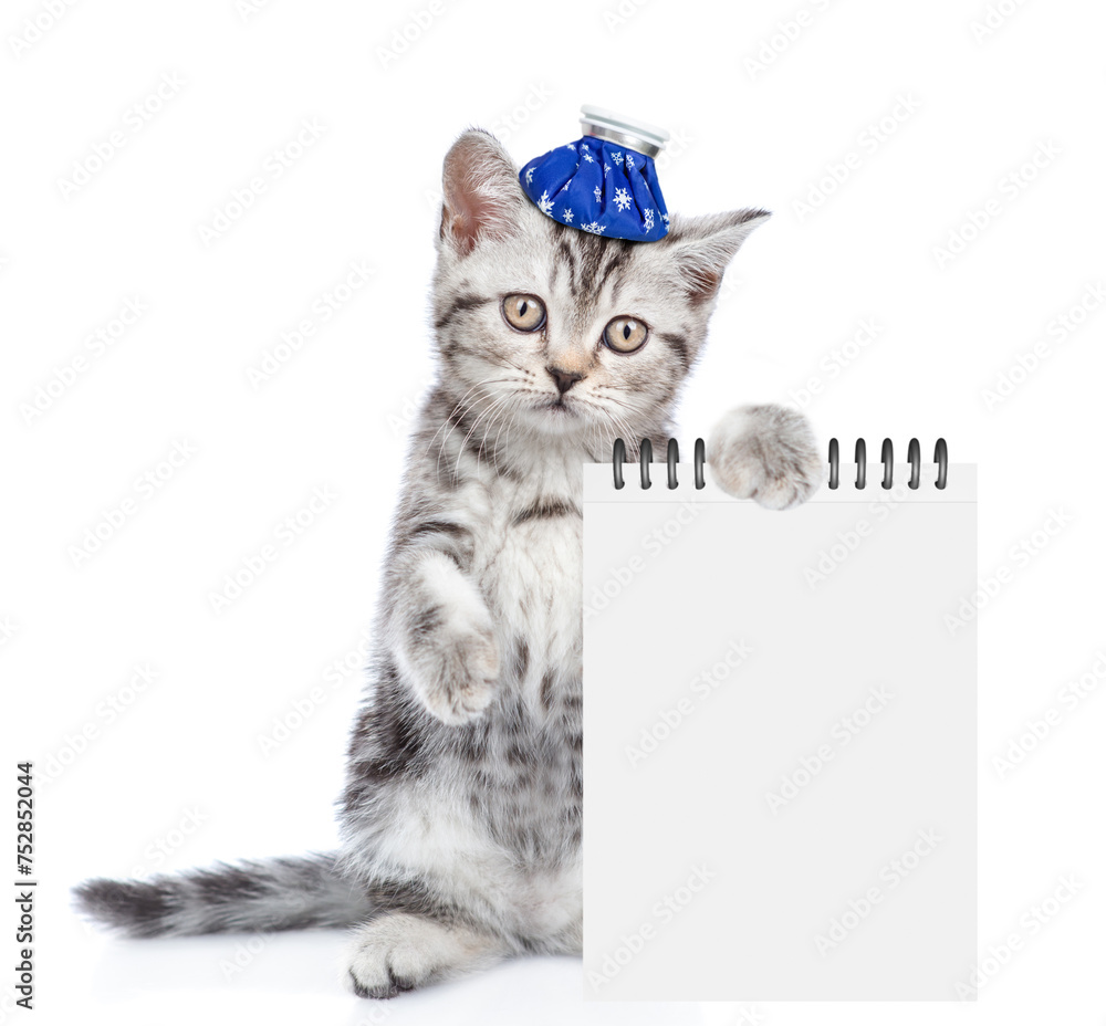 Poster sad sick kitten with ice bag or ice pack on his head shows empty list. isolated on white background
