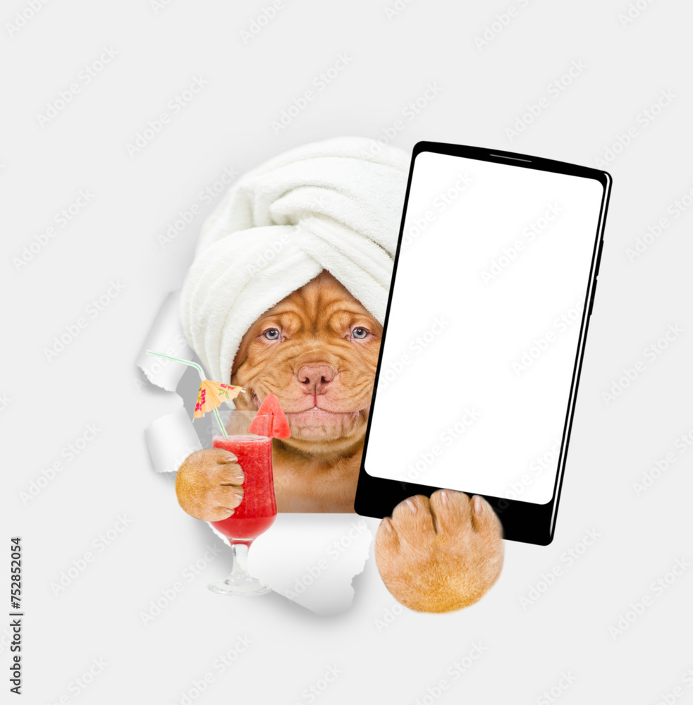 Poster Smiling Mastiff puppy with towel on it head holds cocktail and big smartphone with white blank screen in it paw, showing close to camera through torn white paper hole. Empty free space for mock up