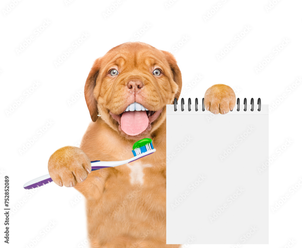 Aufkleber mastiff puppy with funny big teeth holds toothbrush and empty list. isolated on white background