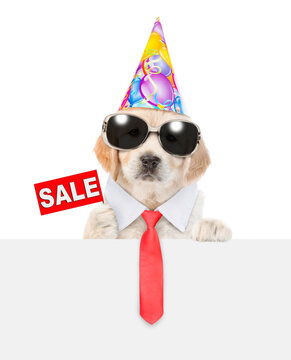 Golden retriever puppy wearing sunglasses and necktie, party cap shows signboard with labeled "sale" above empty white banner. isolated on white background