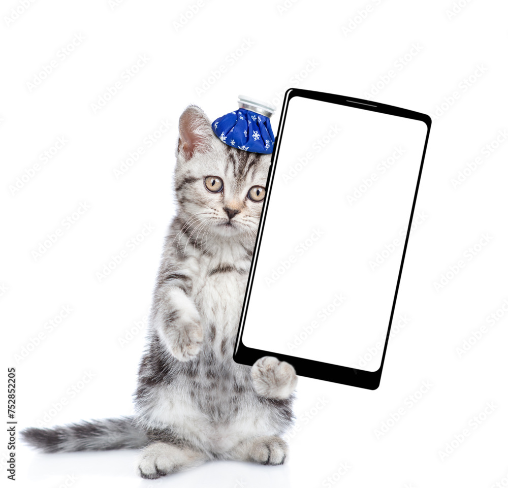 Aufkleber sad sick kitten with ice bag or ice pack on his head shows big smartphone with empty screen. isolate