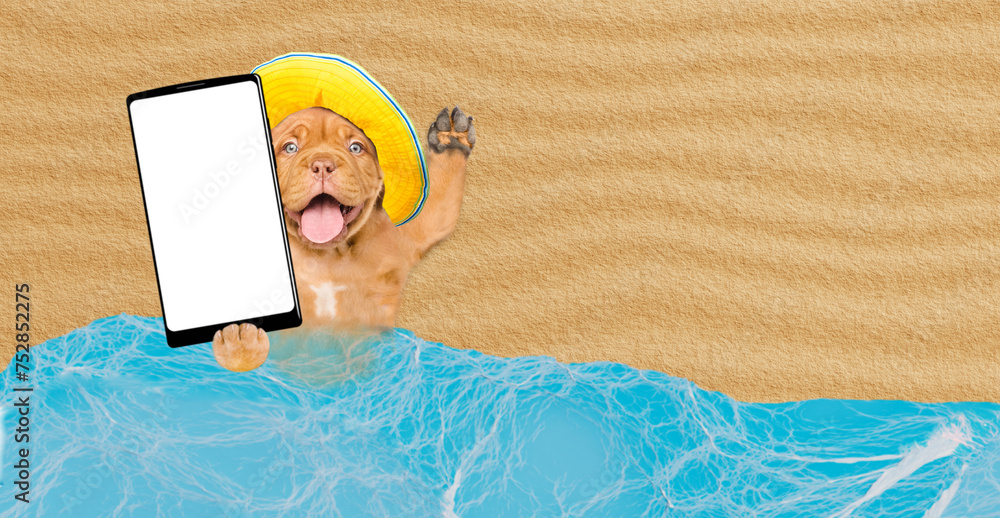 Aufkleber funny mastiff puppy wearing summer hat lying at beach and showing big smartphone with white blank sc