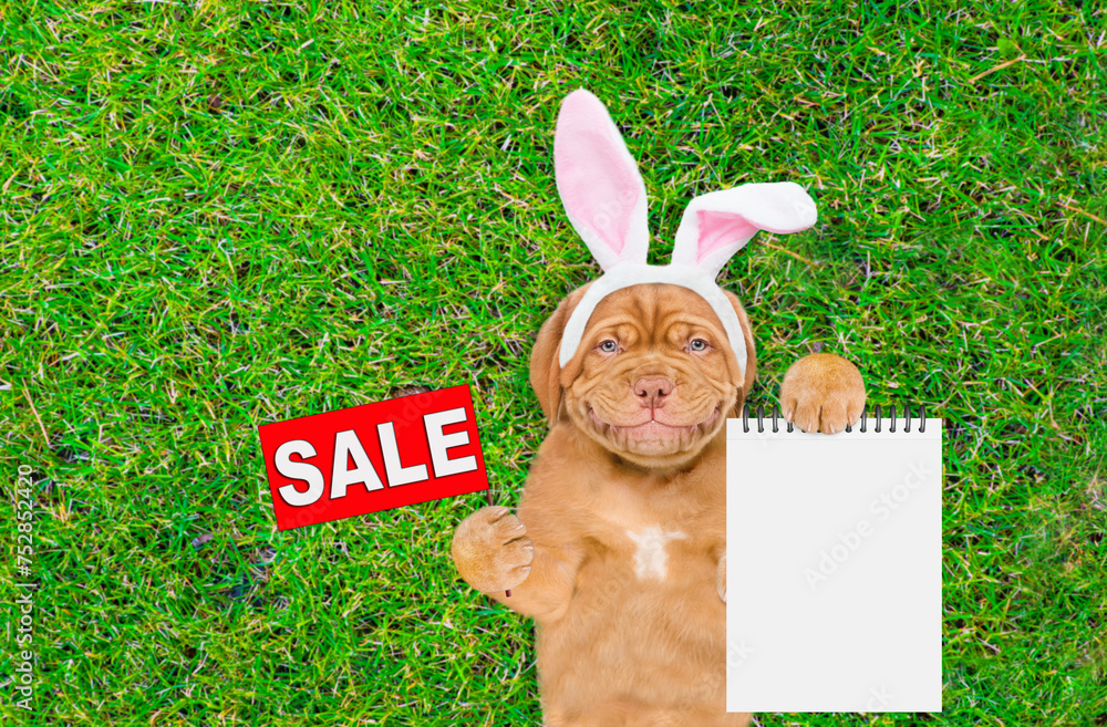 Poster smiling mastiff puppy wearing easter rabbits ears shows signboard with labeled 
