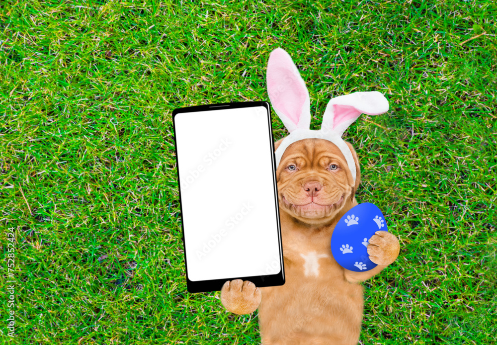 Poster smiling mastiff puppy wearing easter rabbits ears holds painted easter egg and big smartphone with w