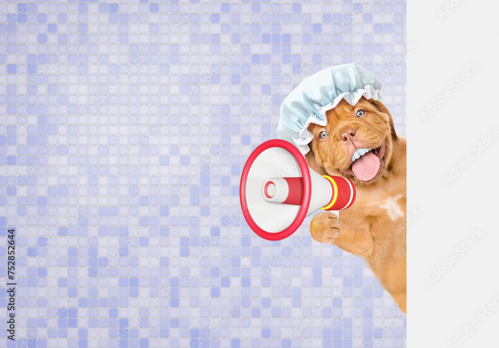 Aufkleber happy mastiff puppy with big funny teeth wearing shower cap looking from behind the shower curtain i