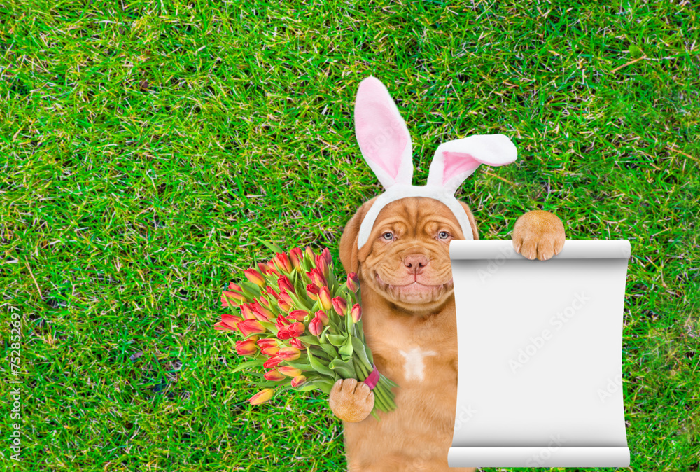 Aufkleber smiling mastiff puppy wearing easter rabbits ears holds bouquet of tulips and shows empty notepad an