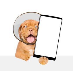 Happy Mastiff puppy with protective cone collar looking above empty white banner and shows big smartphone with white blank screen in it paw. Isolated on white background