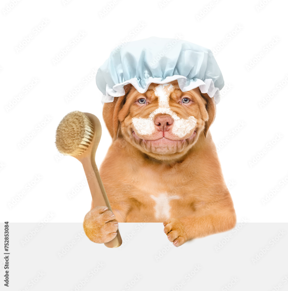 Poster happy mastiff puppy wearing shower cap with cream on it face holds shower brush behind empty white b