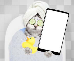 Cute kitten with towel on it head, with cream and slice of cucumbers on it face takes the bath with...