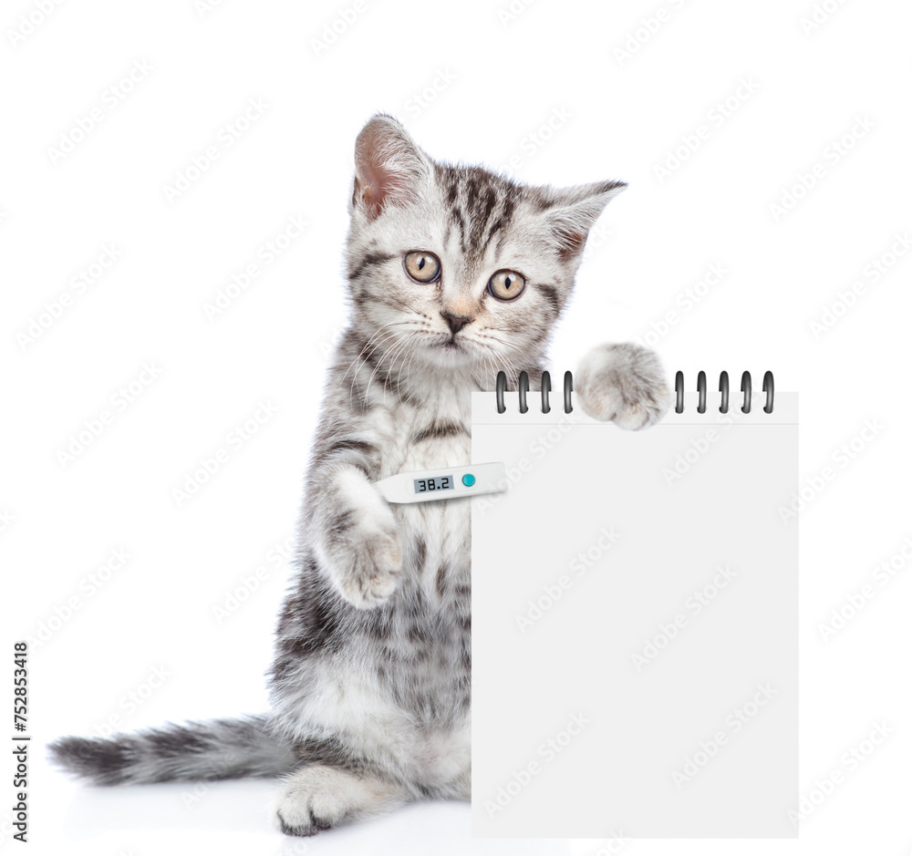 Poster sick kitten holds a thermometer under it paw and shows empty list. isolated on white background