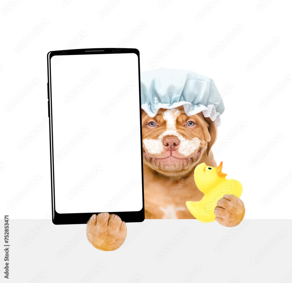 Aufkleber smiling mastiff puppy wearing shower cap, with cream on it face holds rubber duck and big smartphone