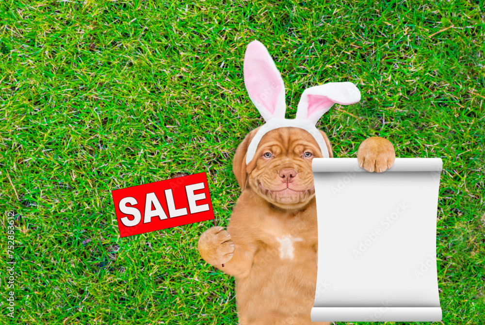 Poster smiling mastiff puppy wearing easter rabbits ears shows signboard with labeled 