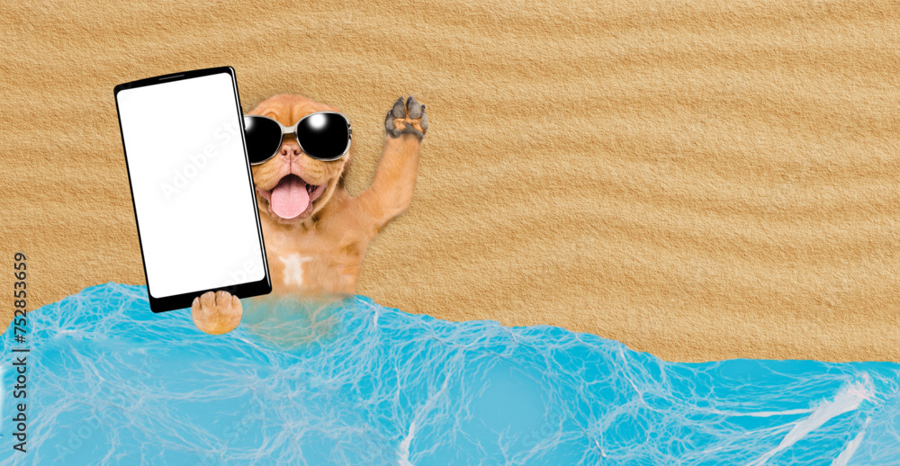 Aufkleber funny mastiff puppy wearing sunglasses lying at beach and showing big smartphone with white blank sc