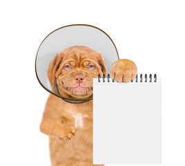 Smiling Mastiff puppy with protective cone collar on her neck  shows empty notepad. Isolated on...