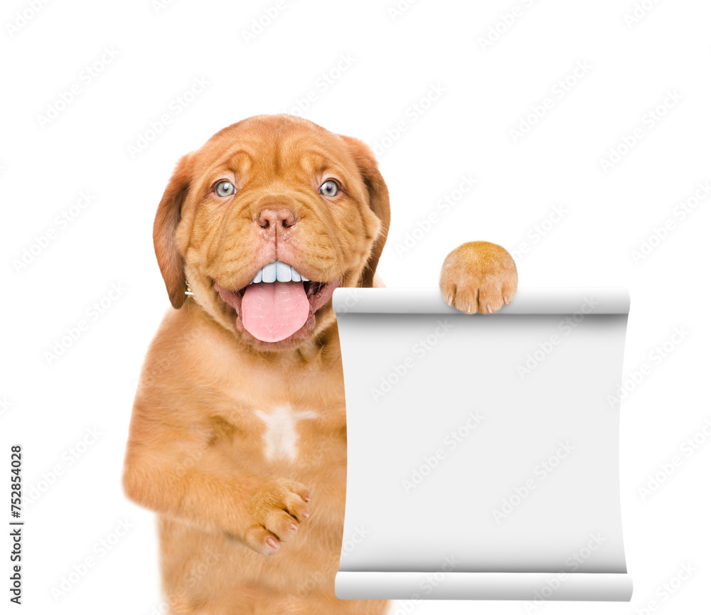 Poster happy mastiff puppy with funny big teeth holds toothbrush and shows empty list. isolated on white ba