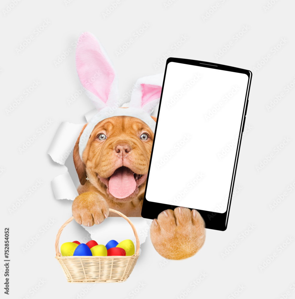 Aufkleber happy mastiff puppy wearing easter rabbits ears holds basket of painted easter eggs and big smartpho