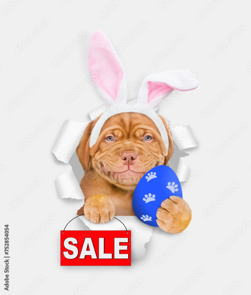 Poster smiling mastiff puppy wearing easter rabbits ears holds painted egg and shows signboard with labeled