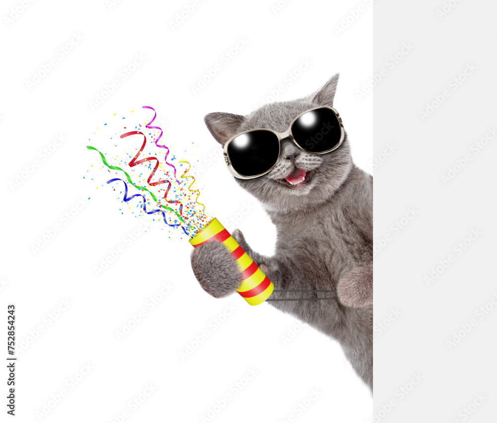 Aufkleber Happy cat holds exploding firecracker and looks from behind empty white banner. Isolated on white background
