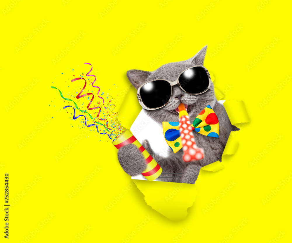 Aufkleber happy cat wearing sunglasses and tie bow looks through the hole in yellow paper, blows in party horn