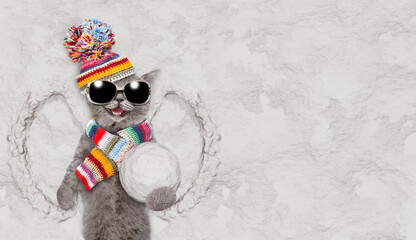 Happy cat wearing sunglasses, warm winter woolen hat with pompon and knitted scarf holds big snowball while lying on snow. Empty space for text
