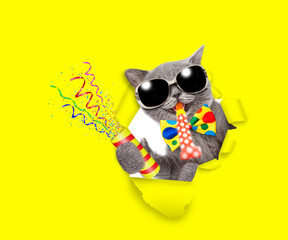 Happy cat wearing sunglasses and tie bow looks through the hole in yellow paper, blows in party...