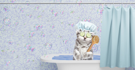 Cute kitten wearing shower cap with pieces of cucumber on it eyes and with cream on it face takes the bath at home with shower brush. Empty space for text