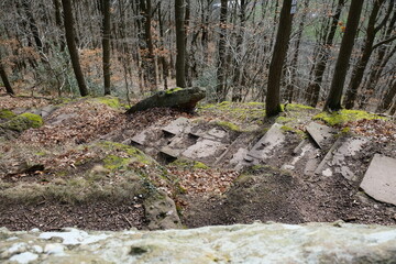 FU 2023-03-11 Sandstein 315 Bilck auf eine Landschaft im Wald