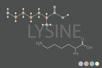  lysine molecular skeletal chemical formula