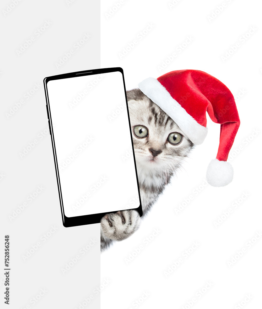 Poster Cat in christmas hat holds smartphone with white blank screen in it paw looks from behind empty white banner. Empty space for text. Isolated on white background