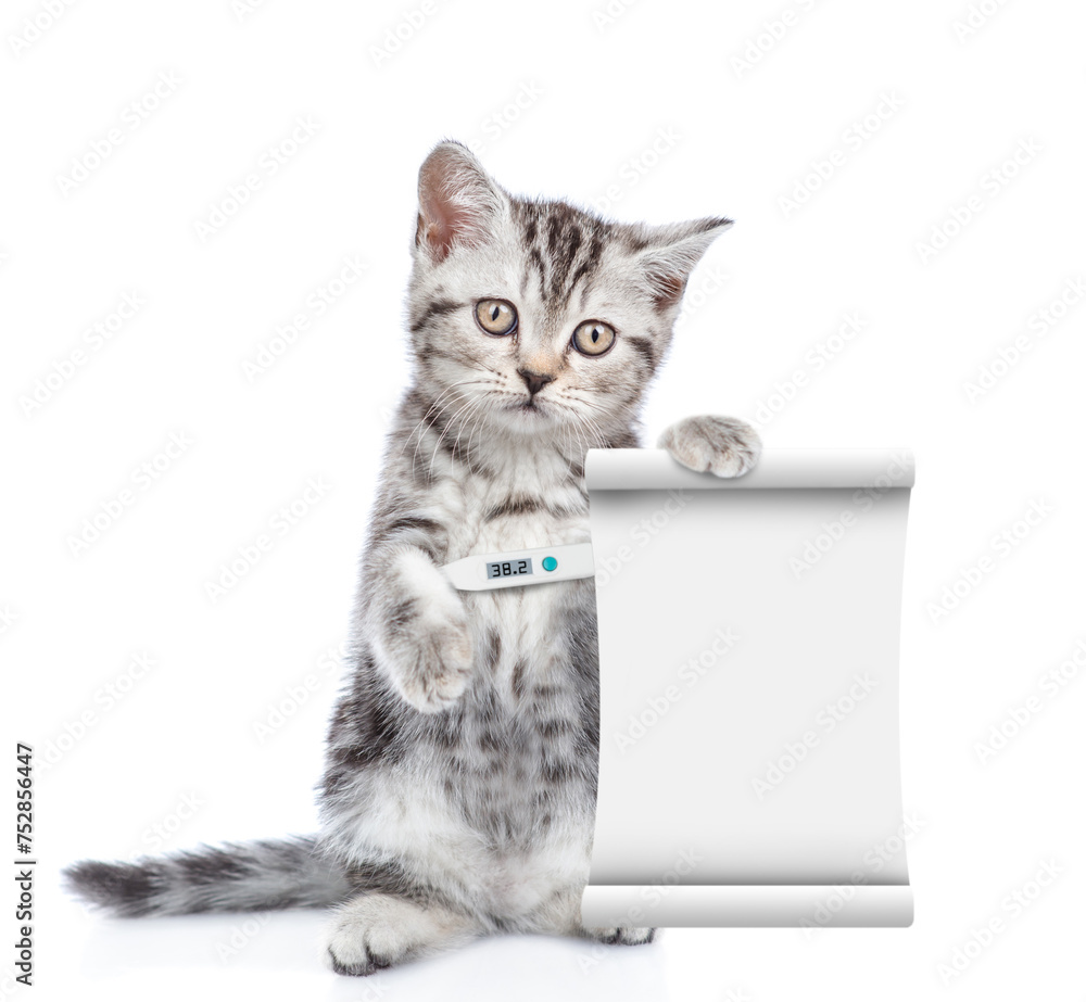 Poster sick kitten holds a thermometer under it paw and shows empty list. isolated on white background