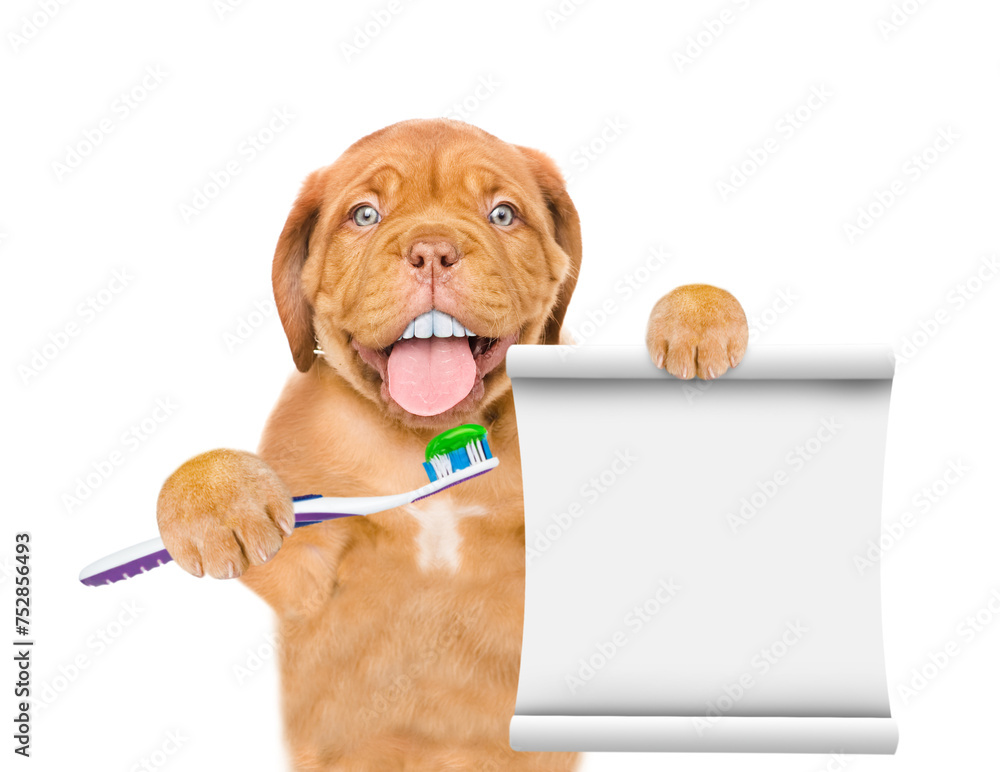 Aufkleber mastiff puppy with funny big teeth holds toothbrush and empty list. isolated on white background