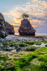 Bingin Beach, Bali, Indonesia