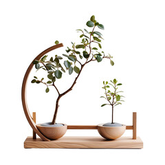 Minimalist Wooden Plant Holder on a transparent background