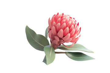 3D image of Waratah, Australian native flower, in a digital art plastic 3D style with pastel colors