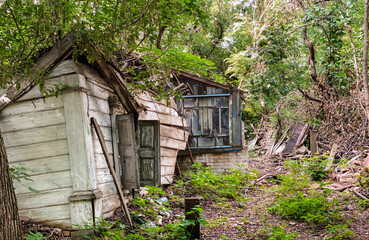 A rustic, abandoned house nestled amongst the trees, with peeling paint and a broken window