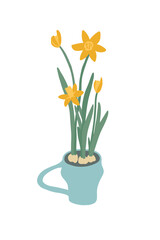 Spring flower vector illustration. Bulbous blossom daffodils growing in ceramic mug. Yellow blooming narcissus in blue cup. Trendy art interior home decor element. Grow bulb daffodil in soil in dish