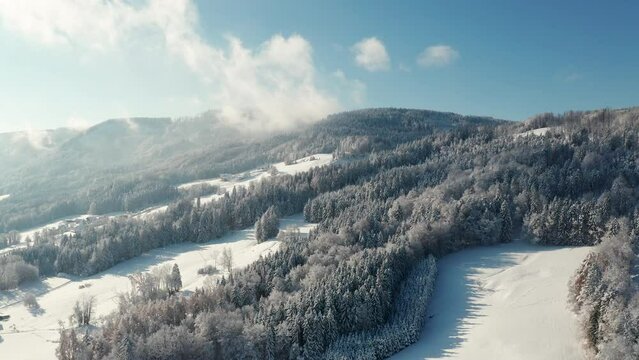 Aerial footage of snow covered trees in an Austrian forest covering a beautiful winter landscape surrounding lake Irrsee, Austria during a sunny day